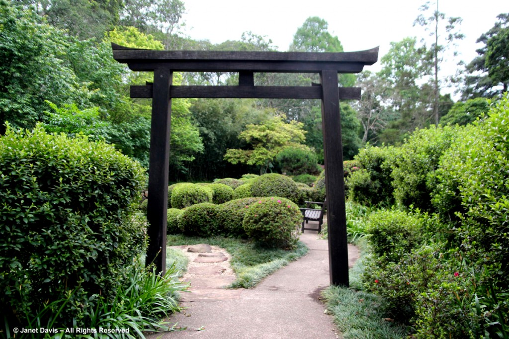 Tori Gate-Japanese Garden-Makaranga | Janet Davis Explores Colour