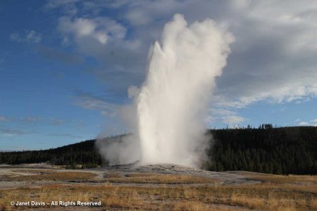 39-old-faithful-yellowstone | Janet Davis Explores Colour