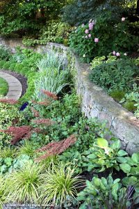 In the Garden with Barbara & Howard Katz | Janet Davis Explores Colour