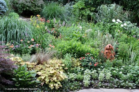 In the Garden with Barbara & Howard Katz | Janet Davis Explores Colour