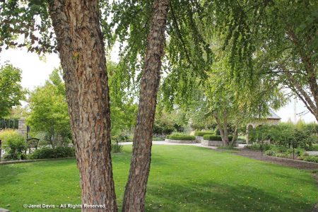 A Visit to Idaho Botanical Garden | Janet Davis Explores Colour