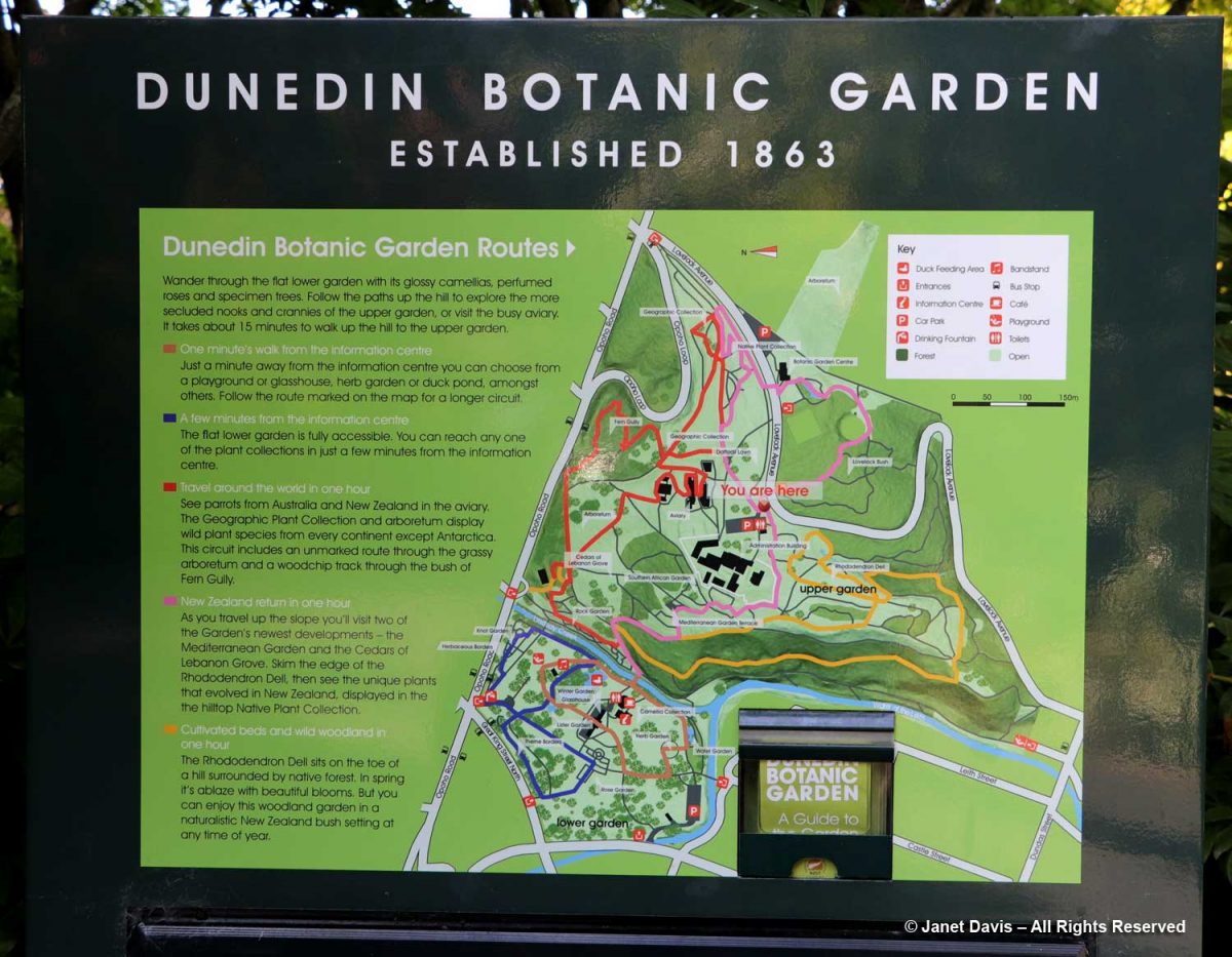 Dunedin Botanic Garden | Janet Davis Explores Colour