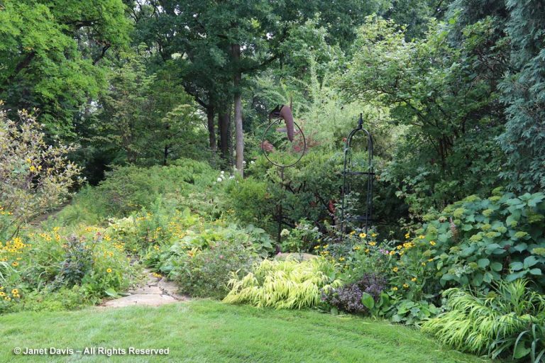 An Illinois Flower Garden | Janet Davis Explores Colour