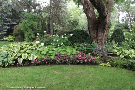 Kellie O’Brien’s English Garden in Hinsdale | Janet Davis Explores Colour