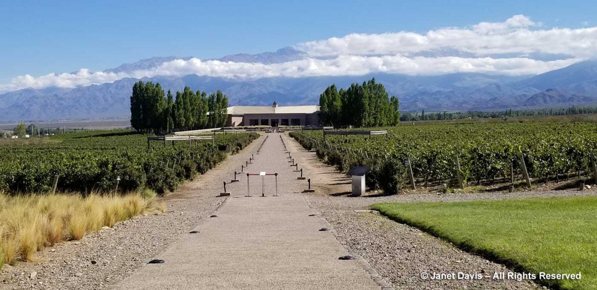 salentein winery tour