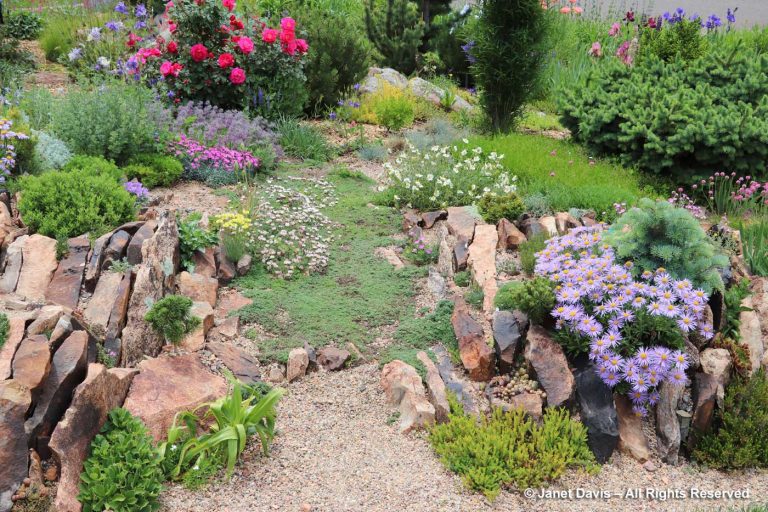 10-Crevice alpine garden-Carol Shinn | Janet Davis Explores Colour