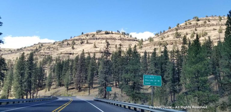 45-Highway 395-Oregon-Ukiah Dale Scenic Corridor-columnar basalt 