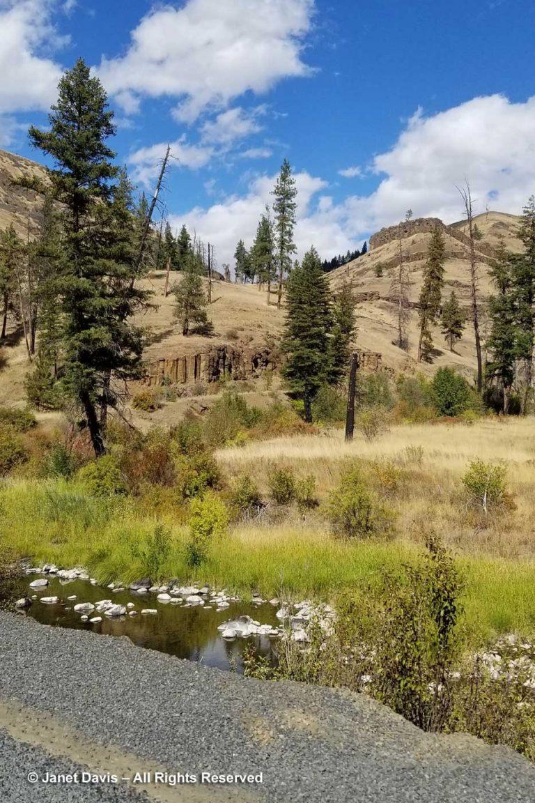 48-Highway 395-Oregon-Basalt Columns-John Day River tributary  Janet Davis Explores Colour