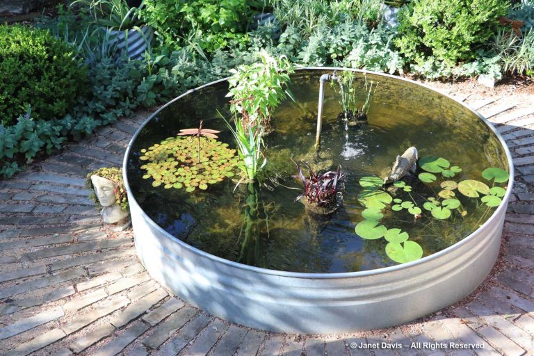 30-Pam Penick-stock tank water garden with faucet fountain | Janet ...