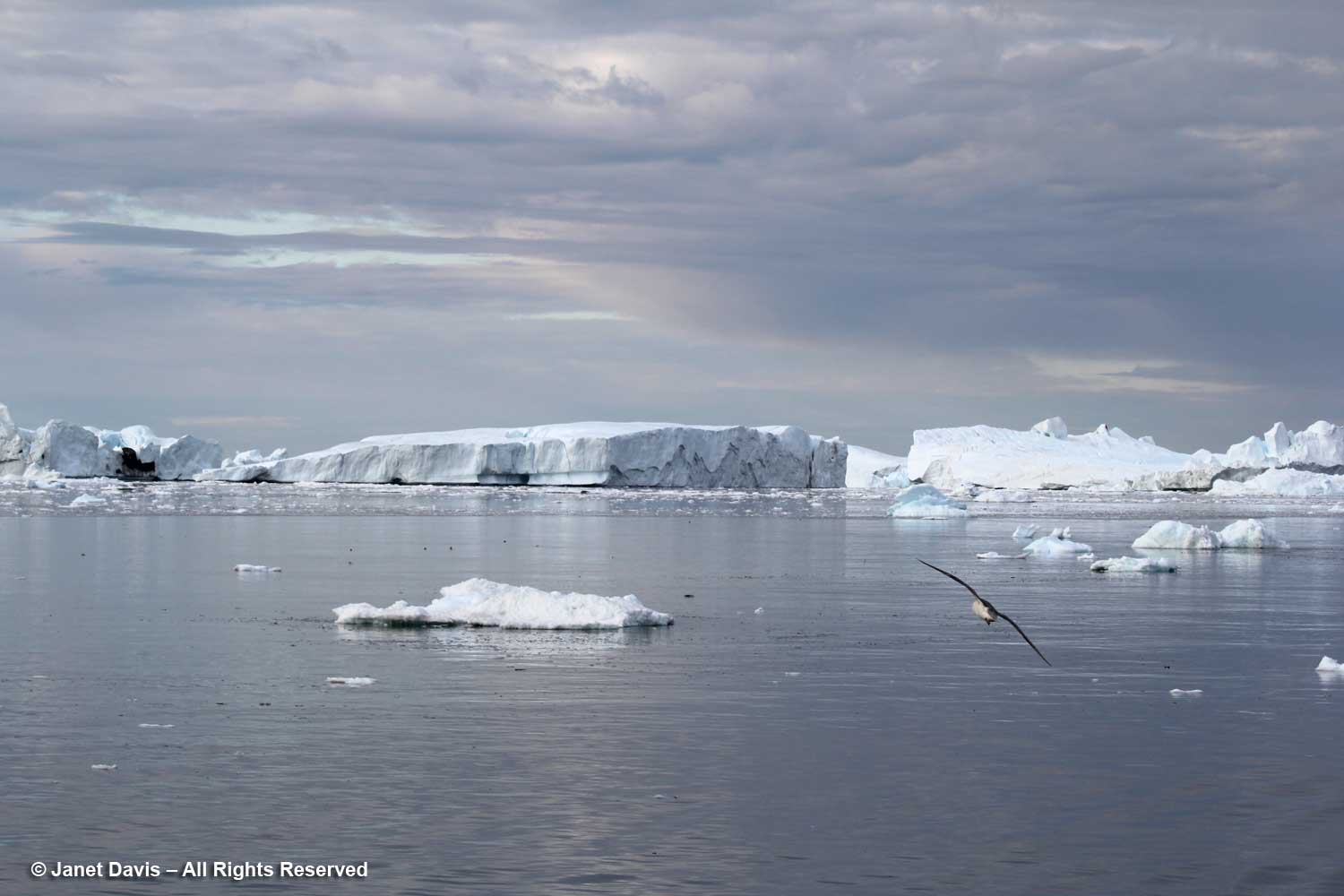 https://www.thepaintboxgarden.com/wp-content/uploads/2020/09/01-Icebergs-Disko-Bay-Qeqertarsuup-tunua-Greenland.jpg