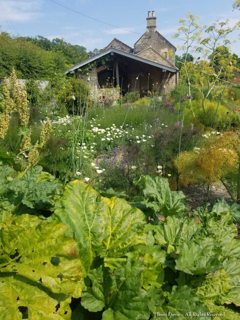 Hillside: Dan Pearson and Huw Morgan in Somerset | Janet Davis Explores ...