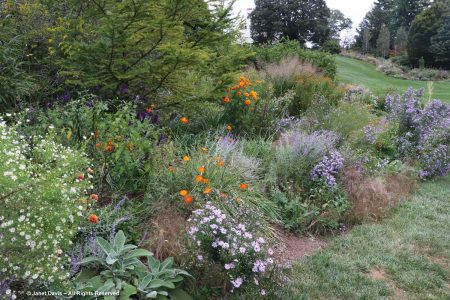 Chanticleer Garden | Janet Davis Explores Colour